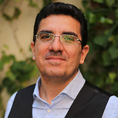 Professor Theodoros Stavrinoudis